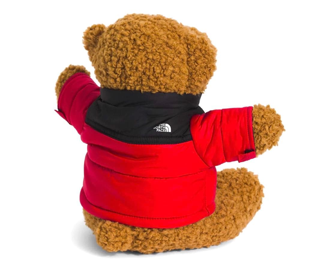 THE NORTH FACE ヌプシベアー