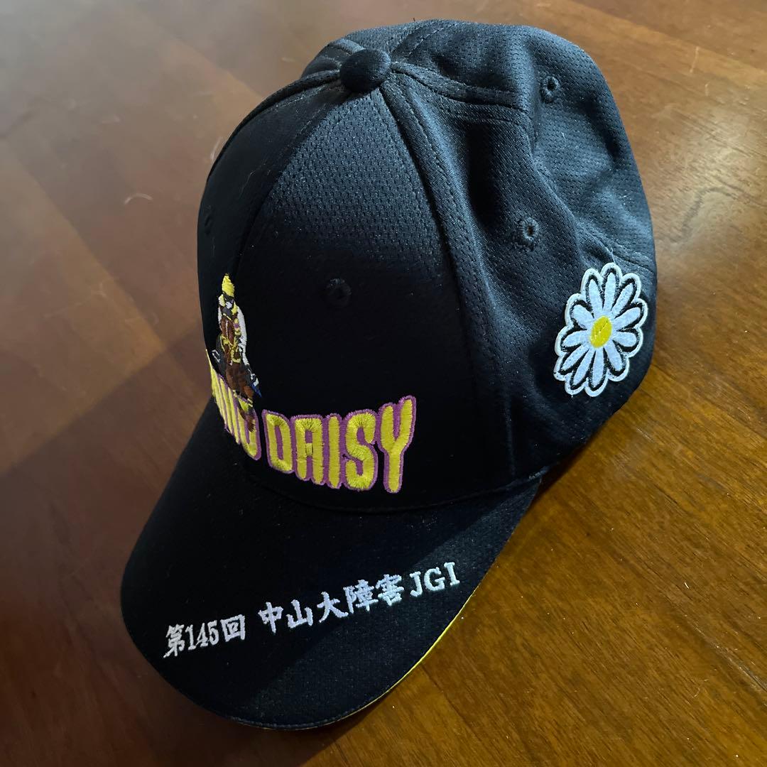 JRA 高木厩舎 NISHINO DAISY 第145回 中山大障害 JGI