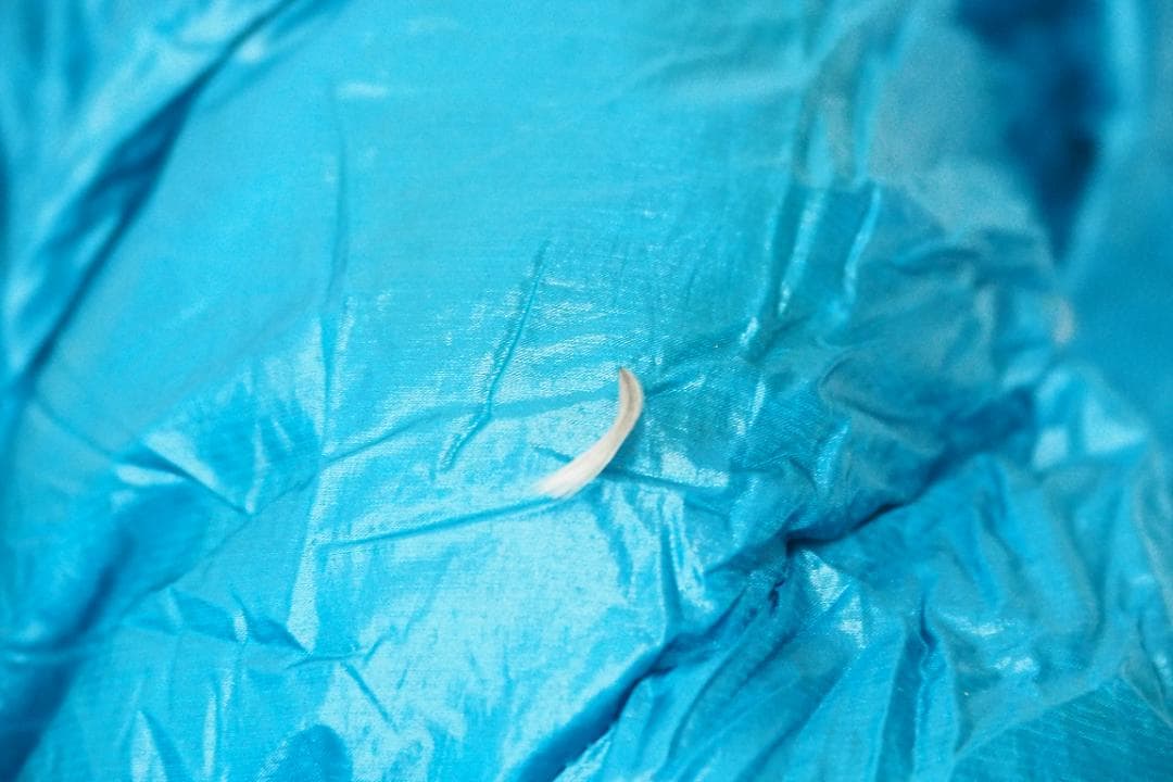 mont-bell アルパインダウンハガー 800　#3 寝袋