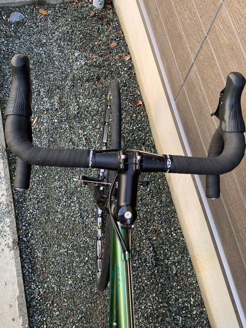 Calamita CXオリーブ