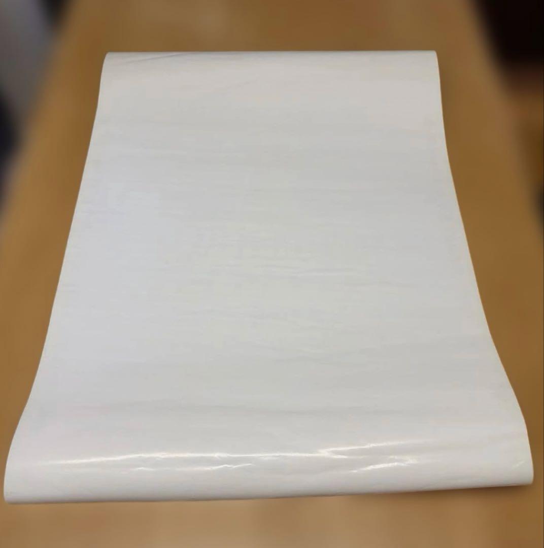 松本零士 日仏合作 アニメーション映画インターステラ 5555 DVD ポスター