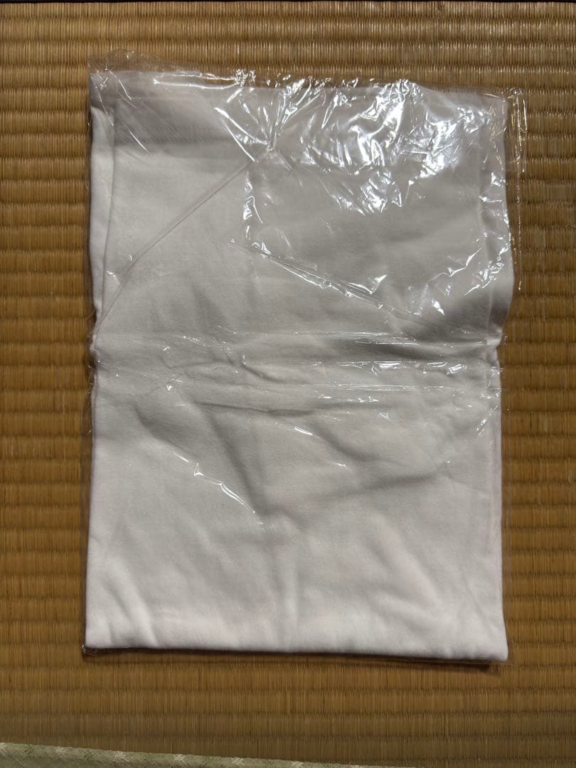 Punpee tシャツ modern times パンピー