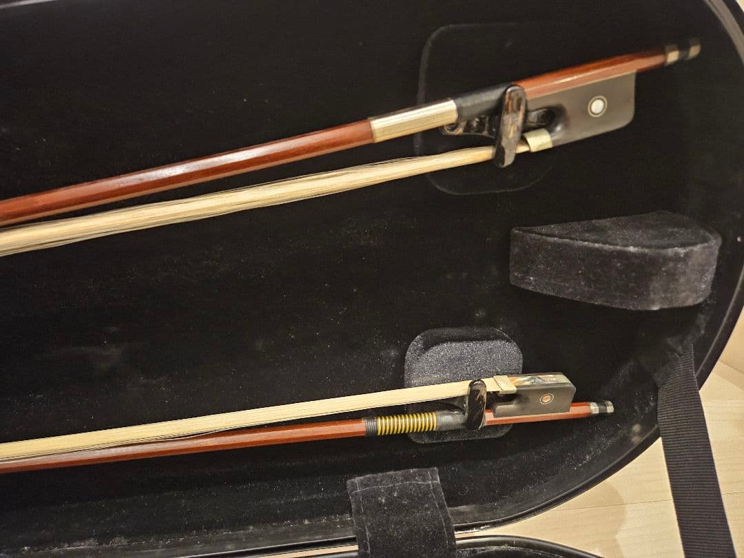 Liuxi工房 ビオラ、 カーボンマックケース、弓、肩当て付き