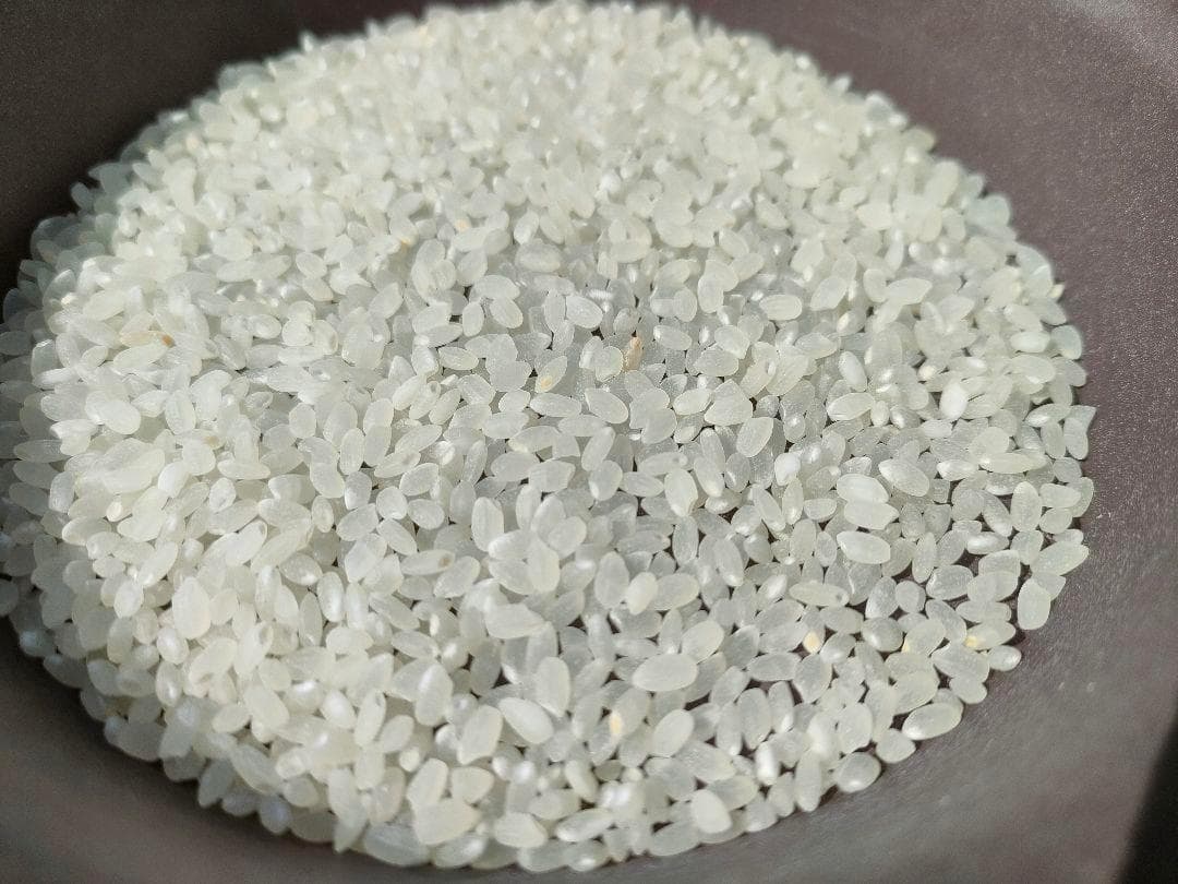 令和７年度兵庫県産 きぬむすめ 玄米30kg※精米可 本州・四国・九州は送料無料