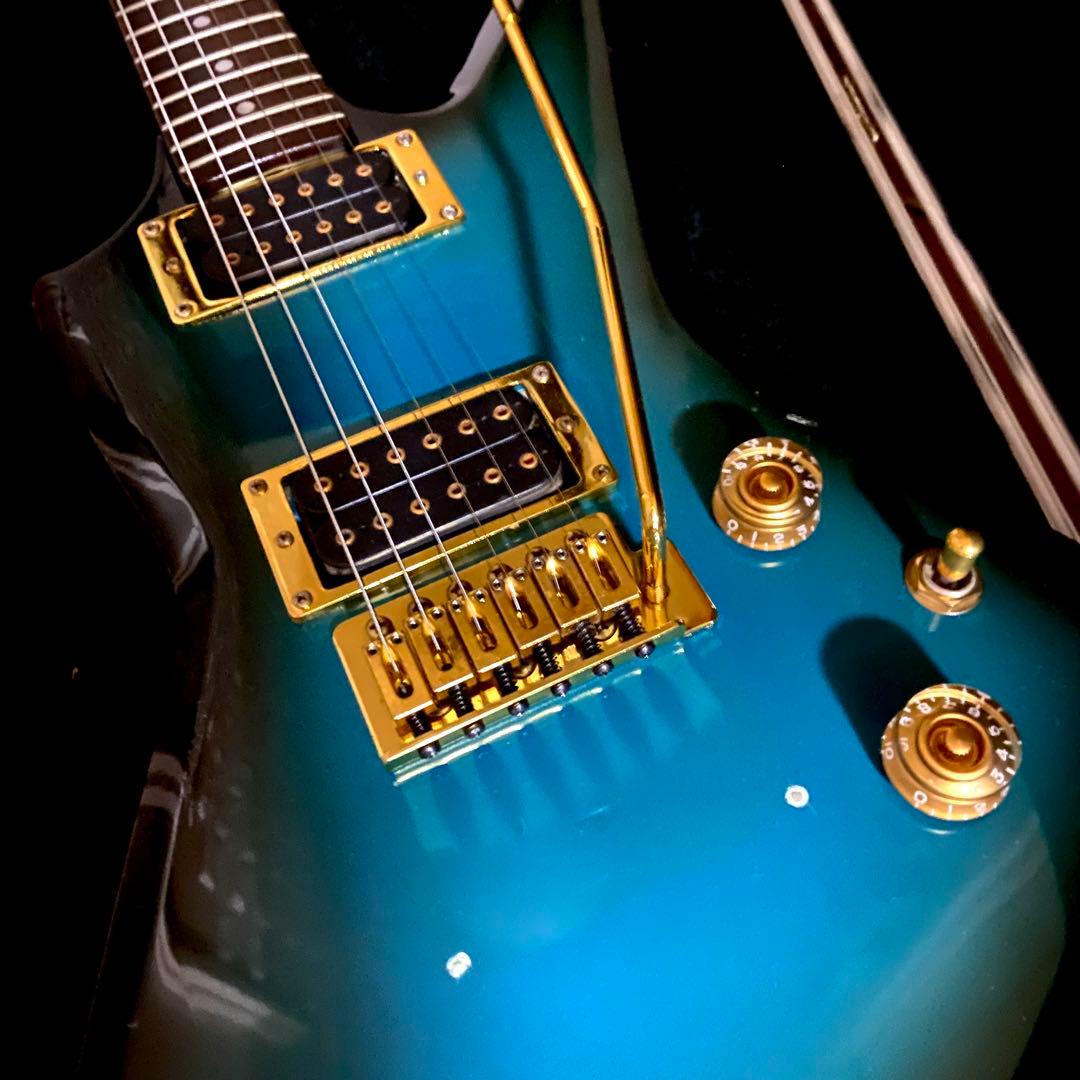 ariapro2 ZZ deluxe 改 エクスプローラー 送料無料❗️