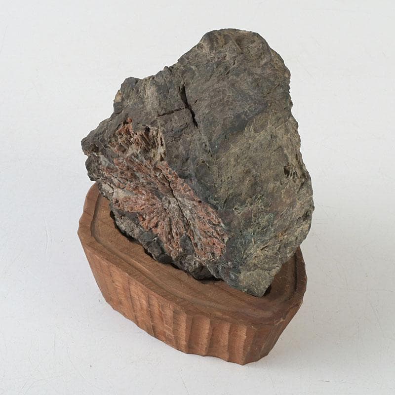 鑑賞石　天然石　菊花石　置物　台付　Z　9752