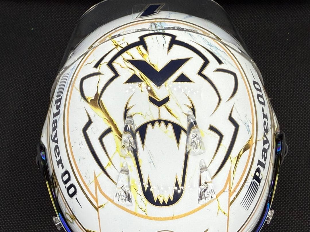 1/2ヘルメット レッドブル M.フェルスタッペン 2024 チャンピオン仕様