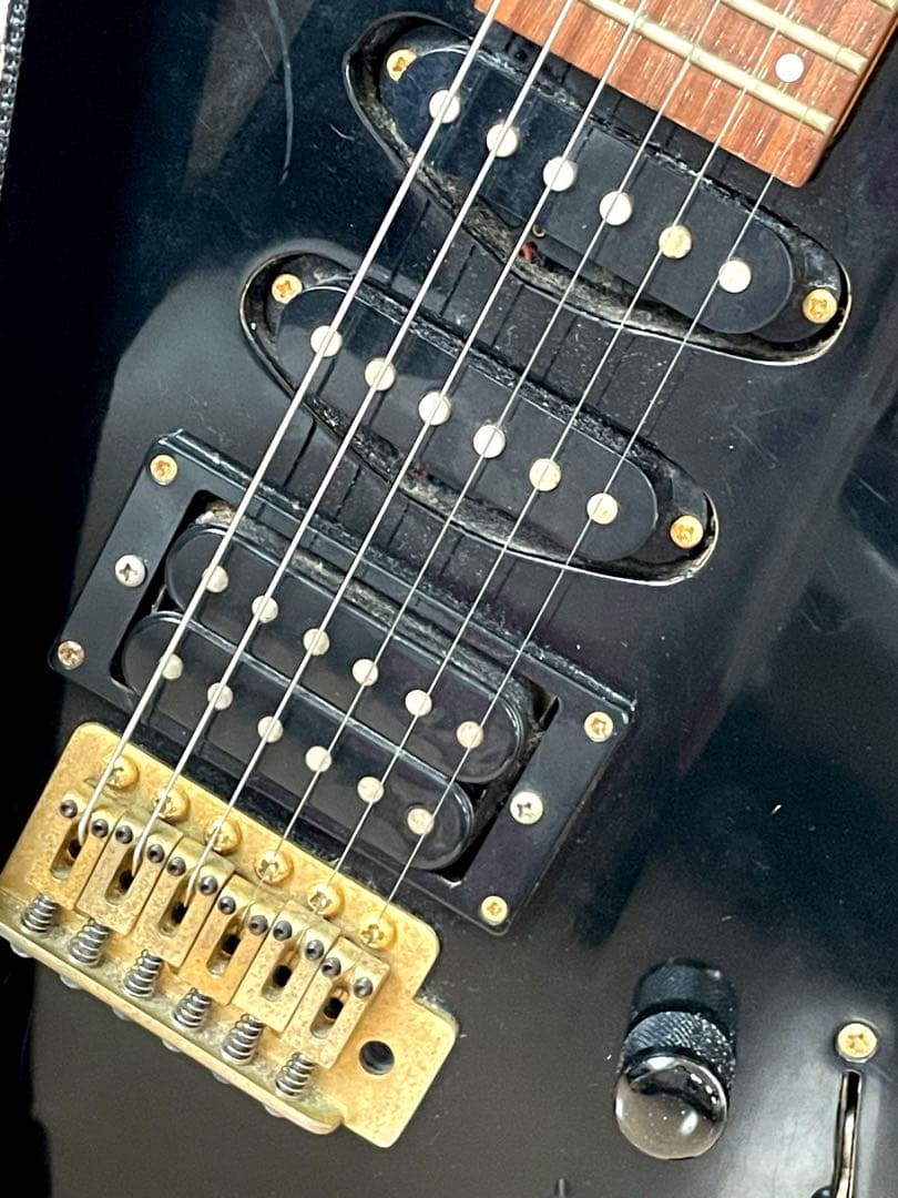 【カバー付き】Aria ProⅡ アリアプロ