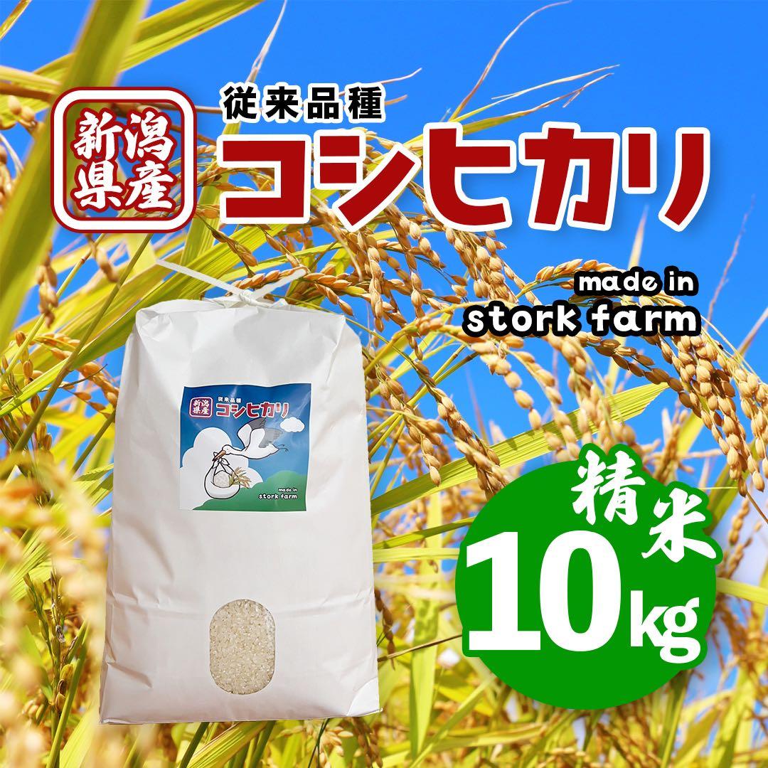 【令和7年産】【一等米】新潟県産従来品種コシヒカリ精米(白米)10kg B③