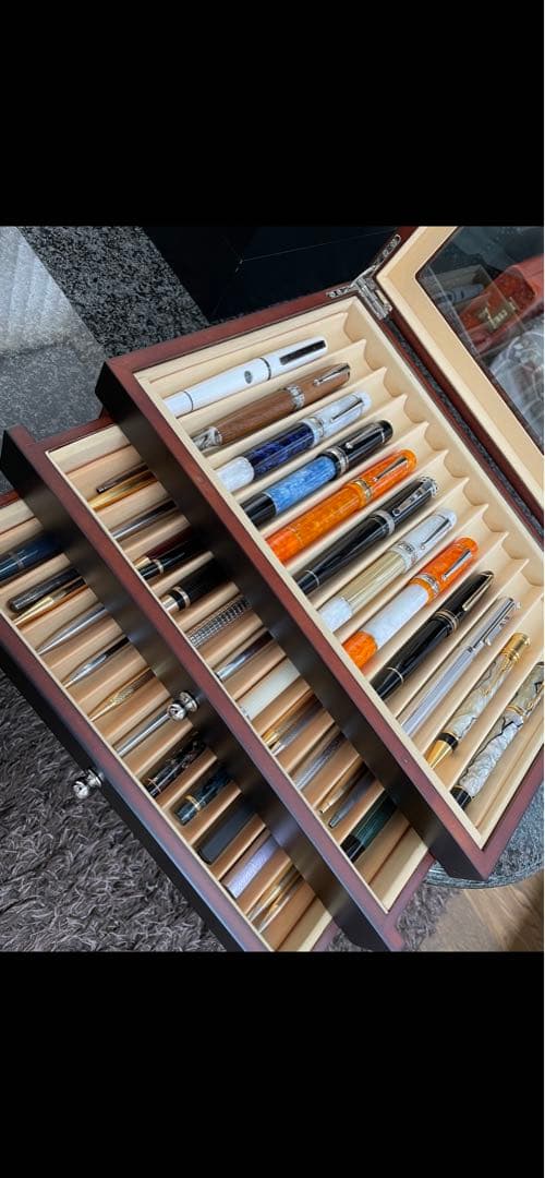 DELTA デルタ　万年筆　Sea Wood