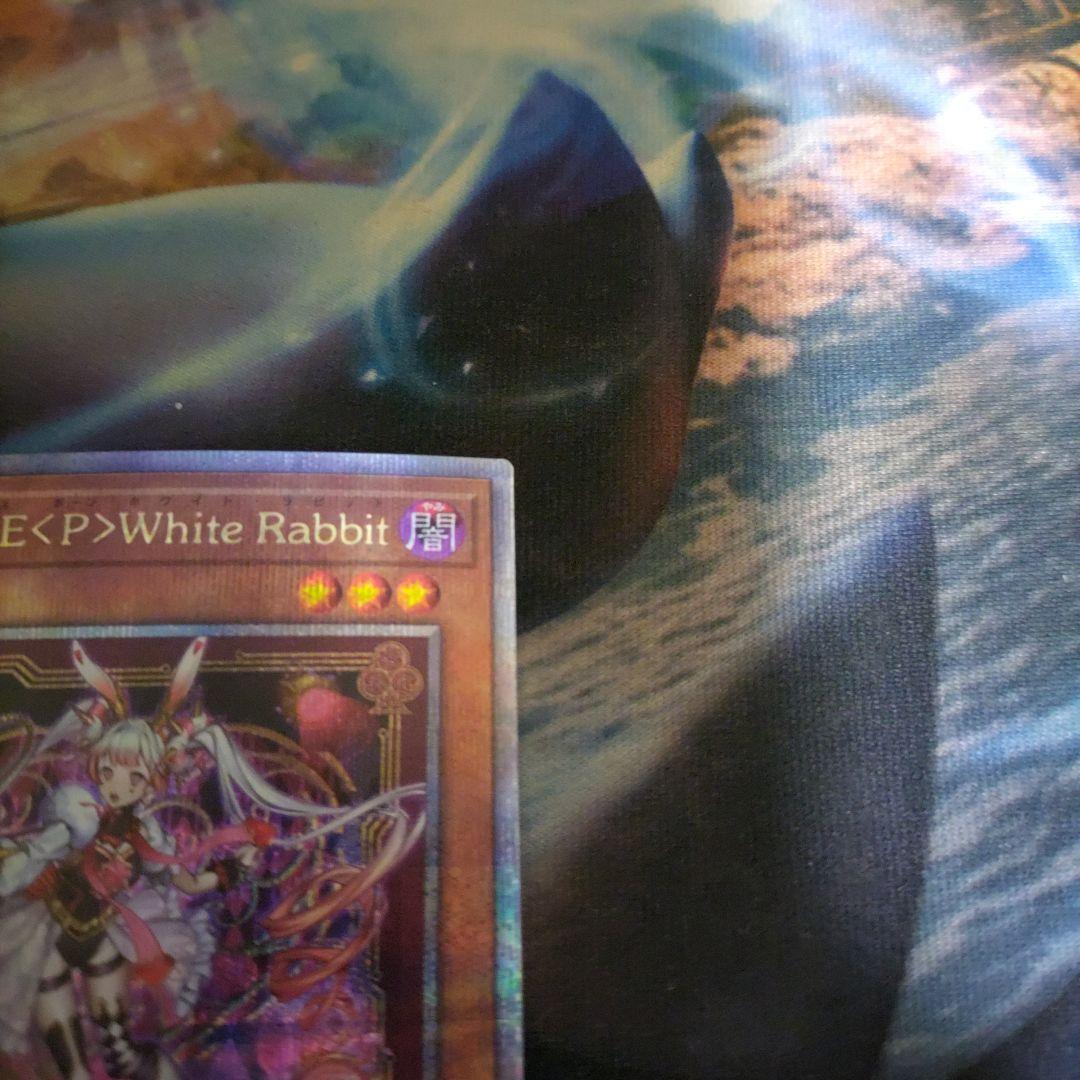 M∀LICE 〈P〉White Rabbit 25th 1枚