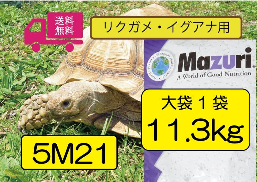 大特価セール【マズリ】トータスダイエット 5m21 11.3kg