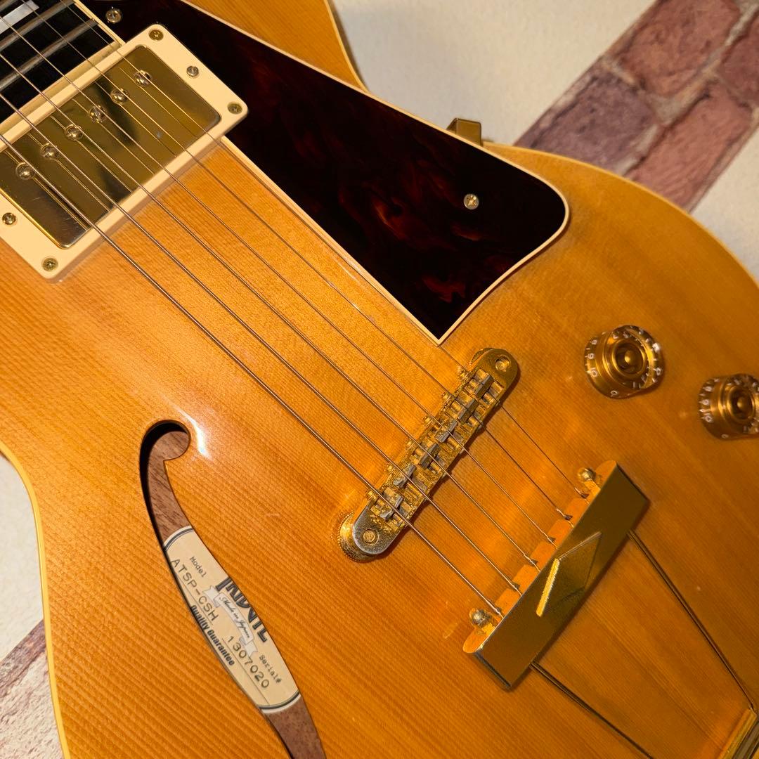 ギター 2013 Archtop Tribute ATSP-CSH Standard