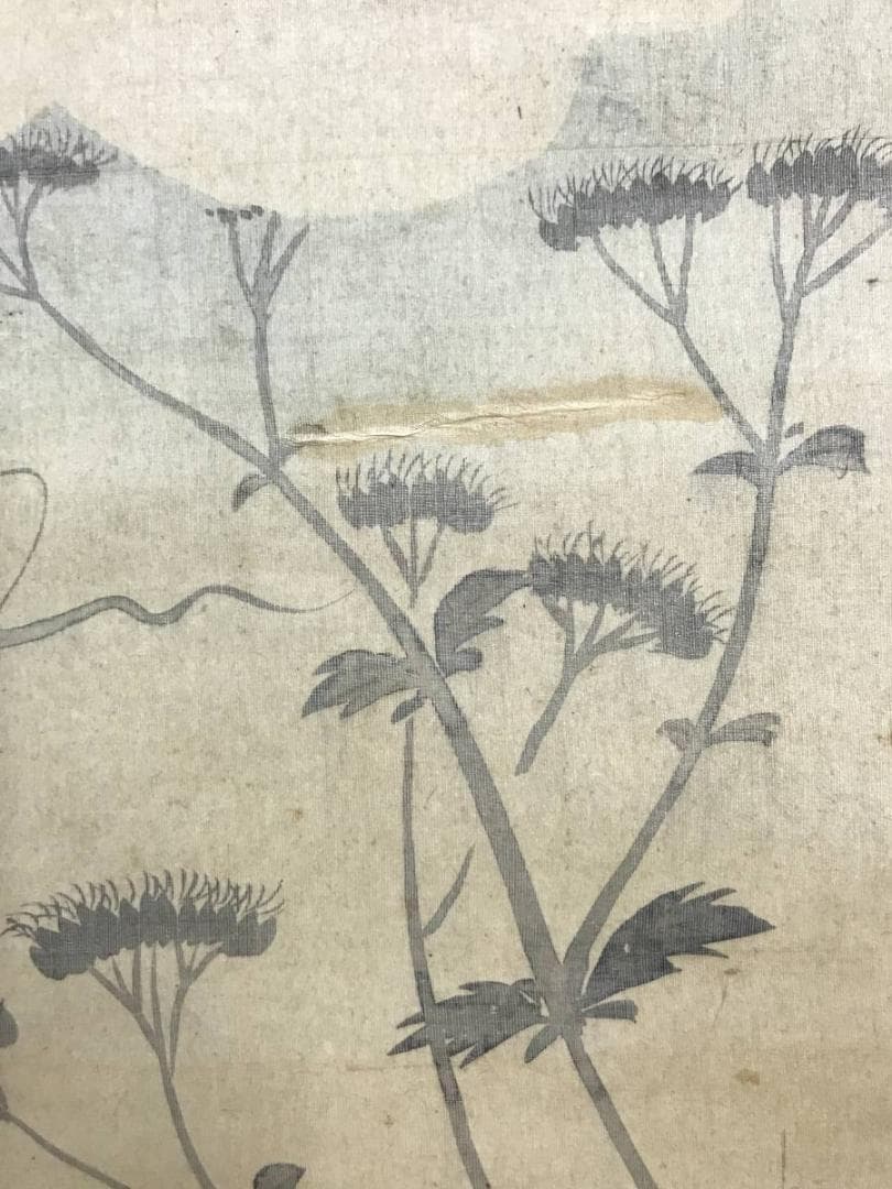 【模写】酒井抱一/青々其一/合作/秋草美人画/美人図/掛軸/名家伝来AC-492