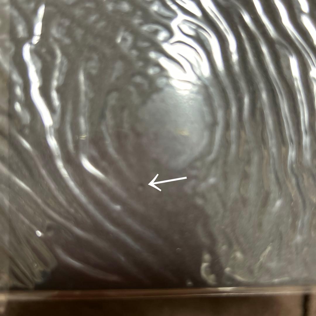 み*の様 【超レア】 ポケモンセンターオンライン ポケドール マウスパッド