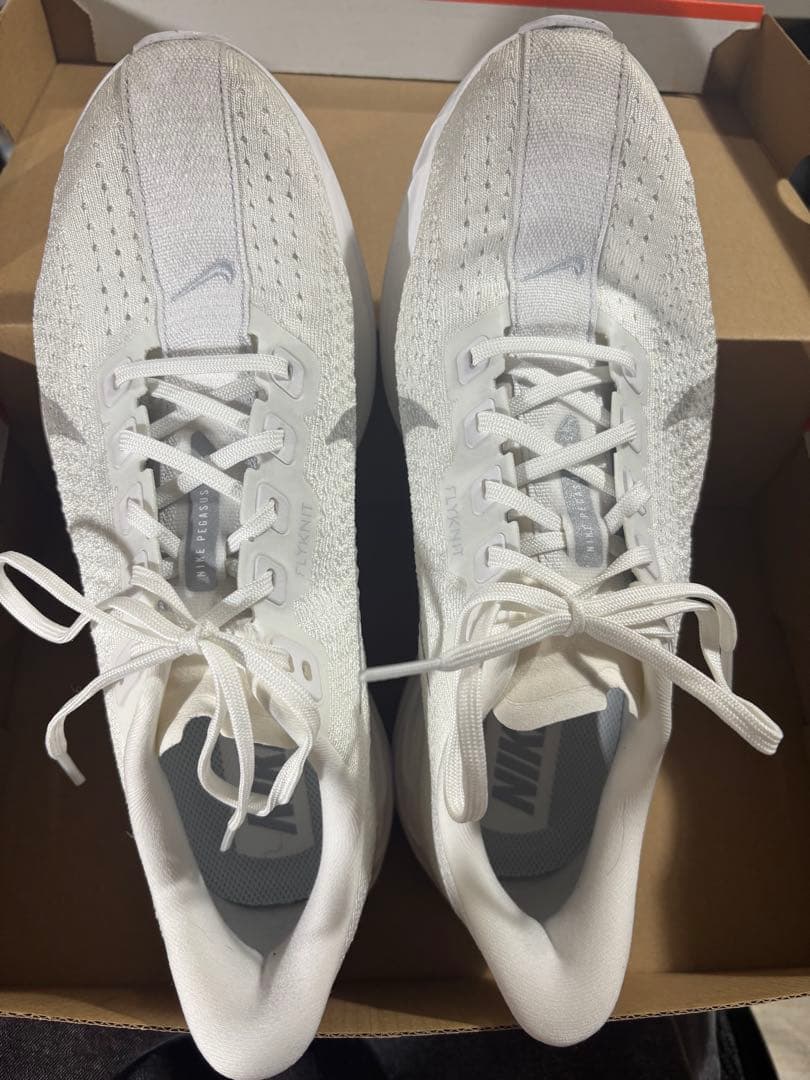 Nike ペガサスプラス　26.5cm