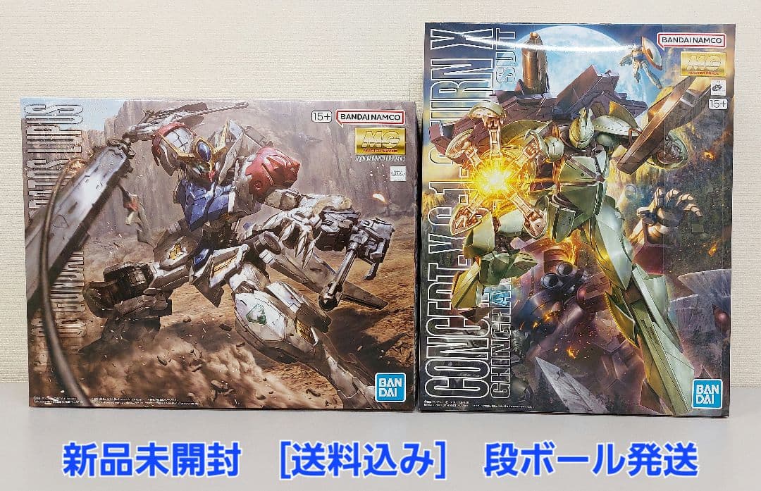 MG 1/100 Concept-X 6-1-2 ターンX　バルバトスルプス