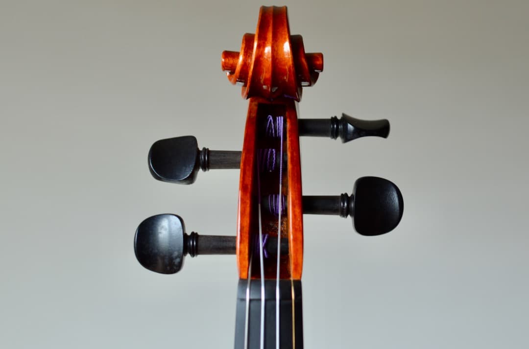 本体のみ【超美品】スズキ バイオリン No.540 4/4 2017年製