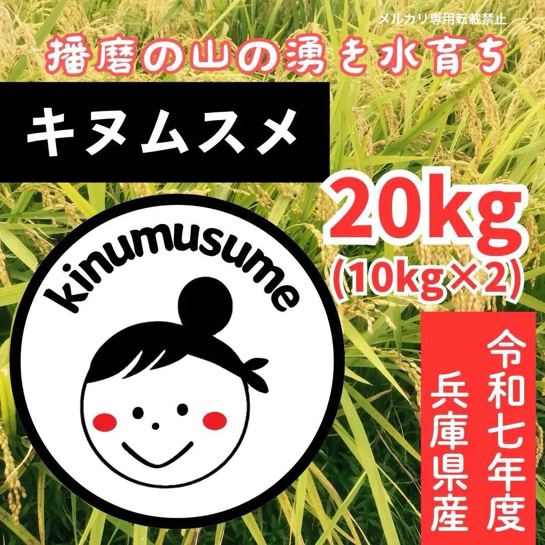 美味★新米 兵庫県産キヌムスメ 山の湧き水育ち農家のお米 20kg(10kg×2