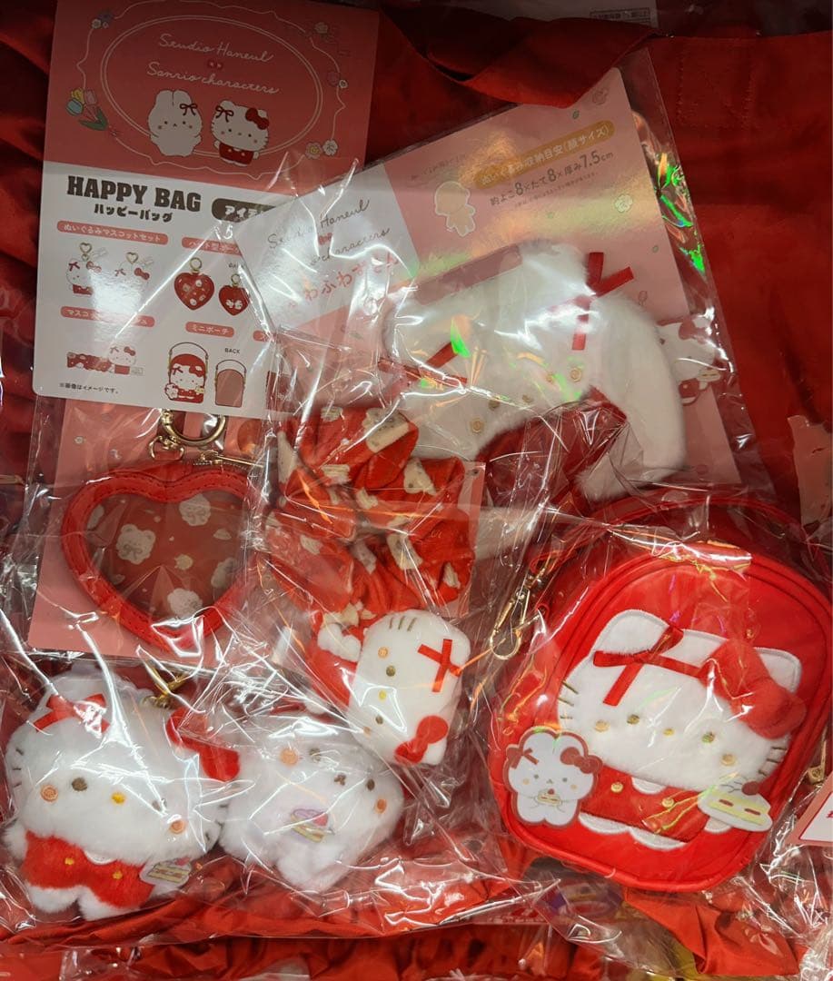 福袋　新品未開封　サンリオ　ドンキホーテ限定ハッピーバッグ　ハローキティ&タルト
