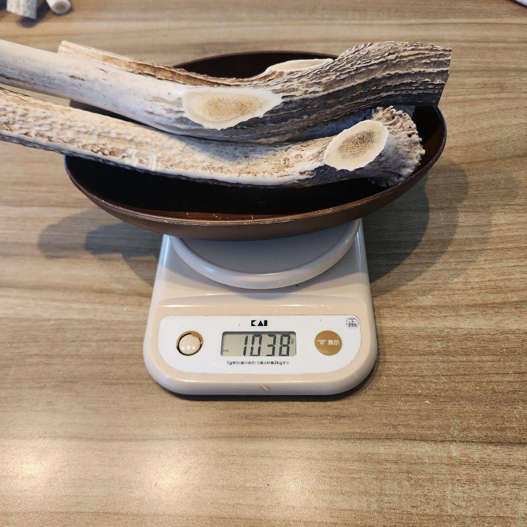 鹿の角　ランダム５kgセット