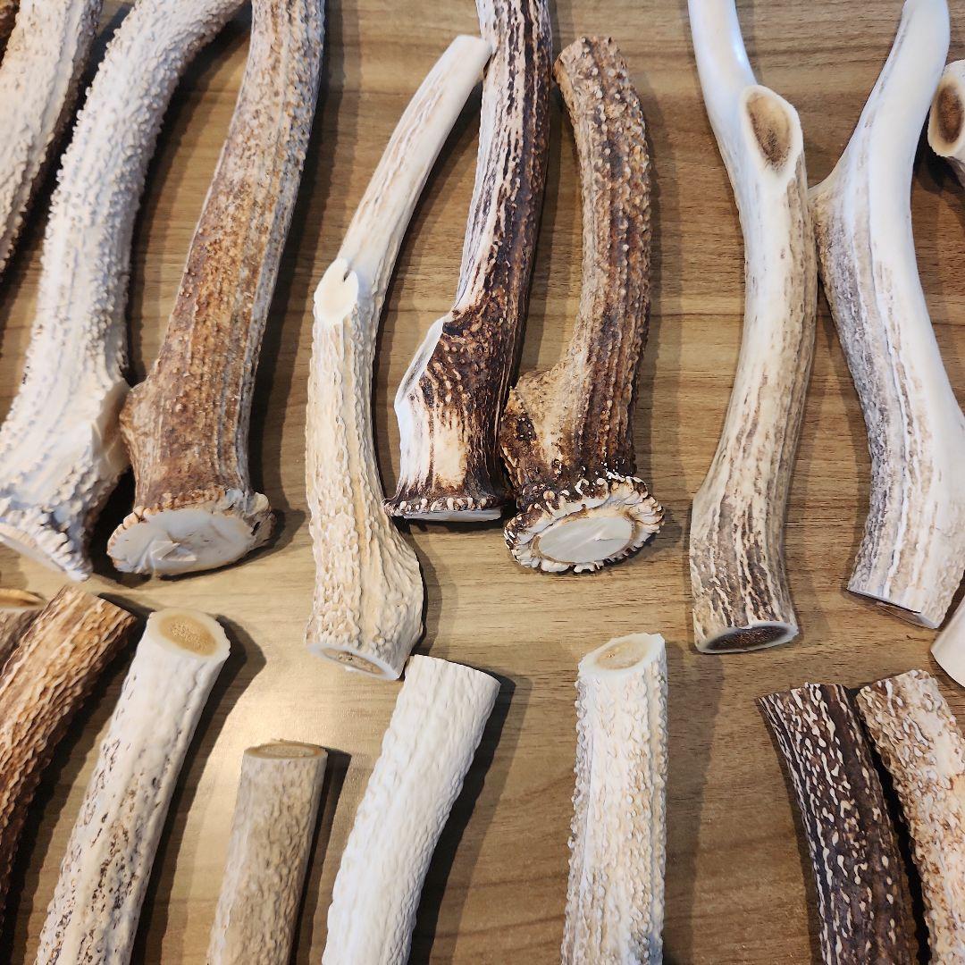 鹿の角　ランダム５kgセット