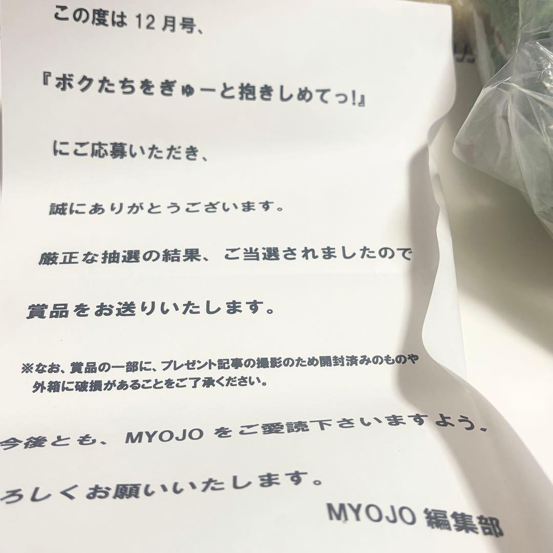 Aぇ!group 佐野晶哉 Myojo ぬいぐるみ