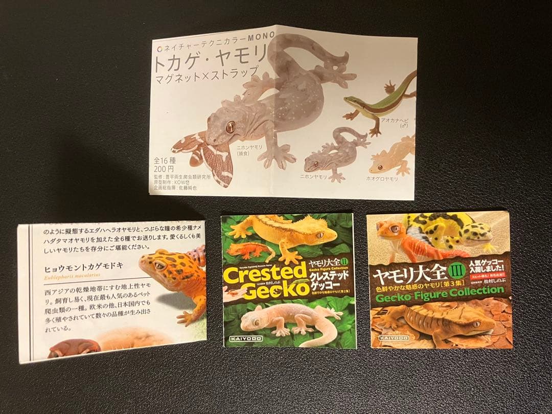 ネイチャーテクニカラー　トカゲ　ヤモリ大全　ガチャガチャ