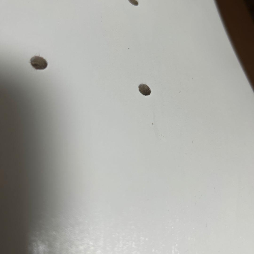 kyne スケートボード 2枚セット　白　NO COFFEE