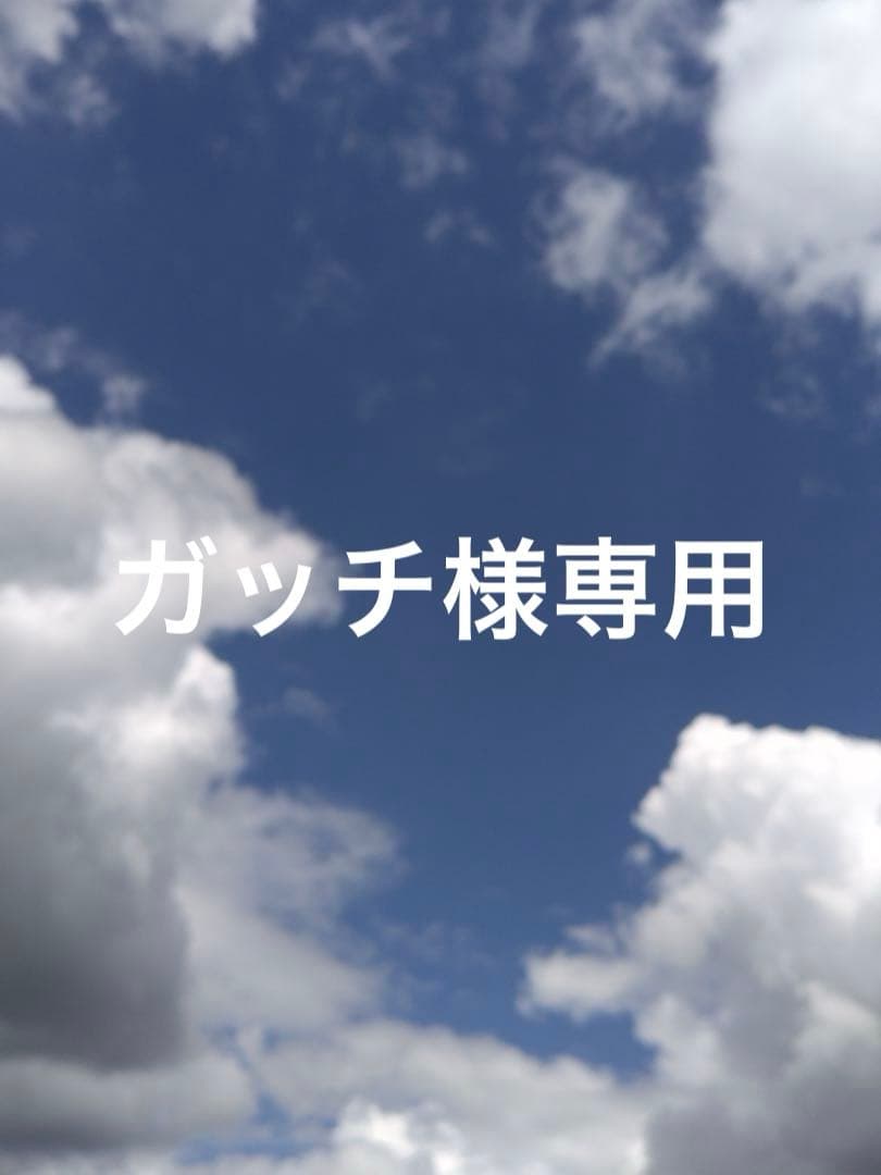 長崎 カステラ 切り落とし 50個 ガッチ