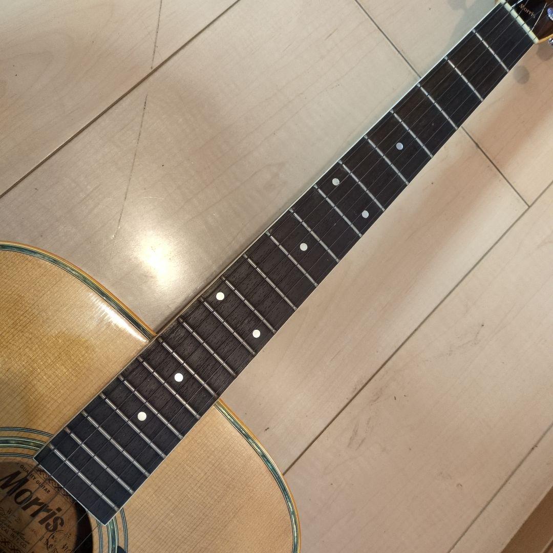 Morris アコースティックギター W-25