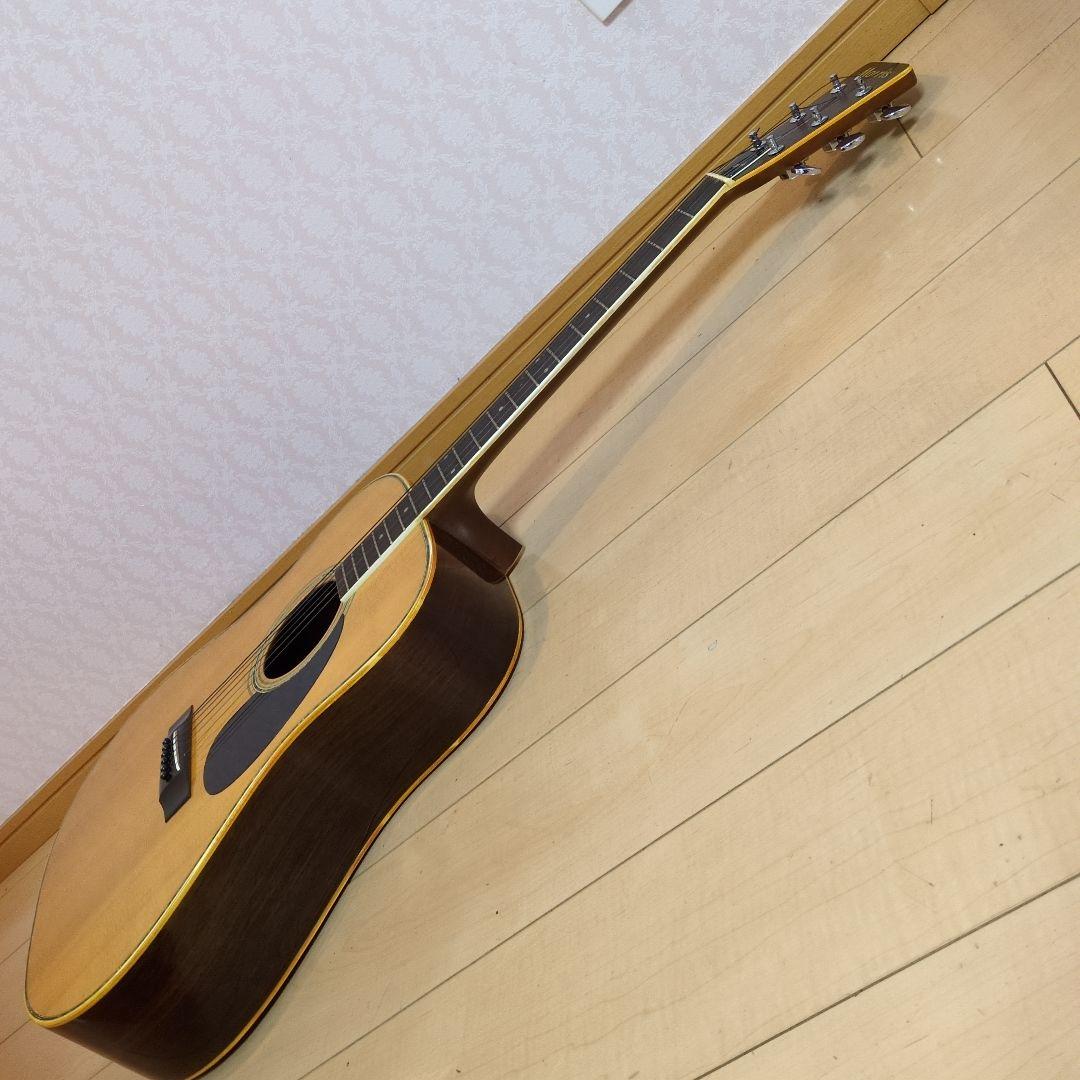 Morris アコースティックギター W-25
