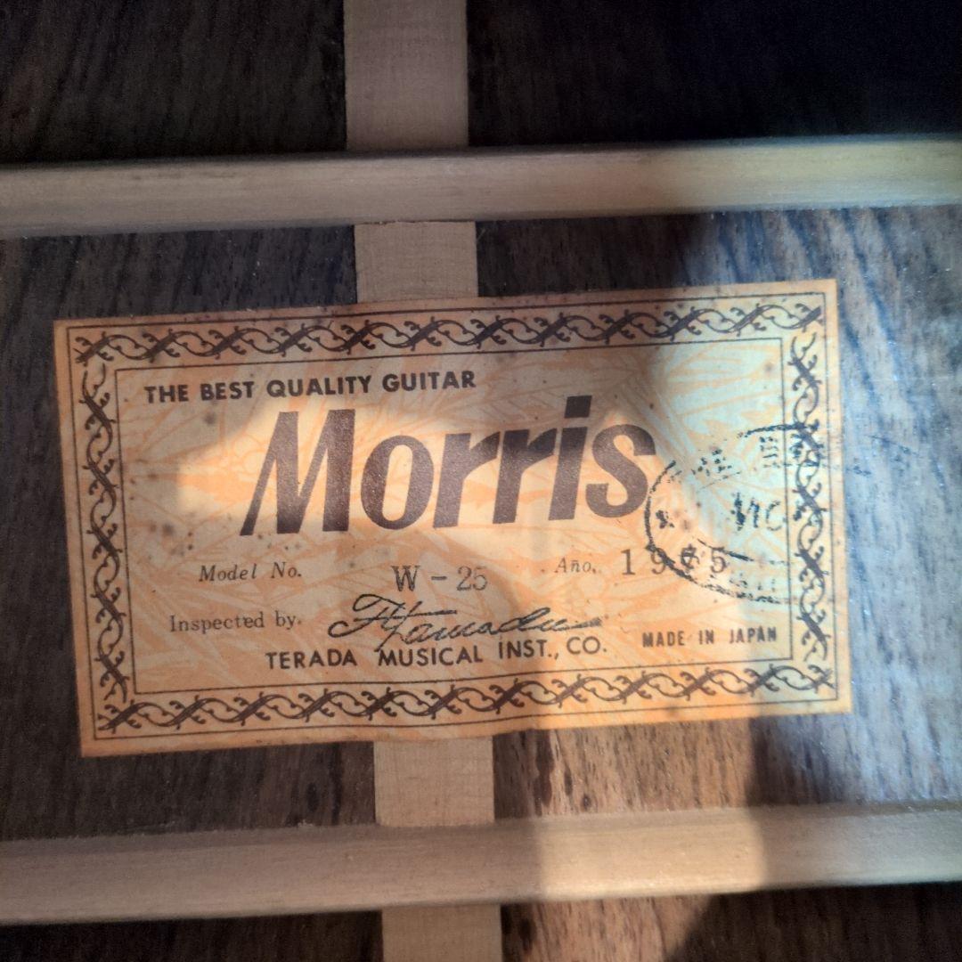 Morris アコースティックギター W-25