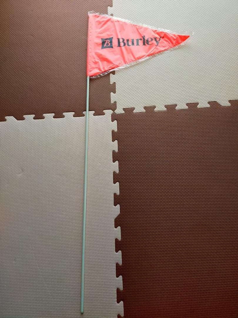 Burley(バーレー) チャイルドトレーラー ハニービー 幼児2人乗せ未使用品