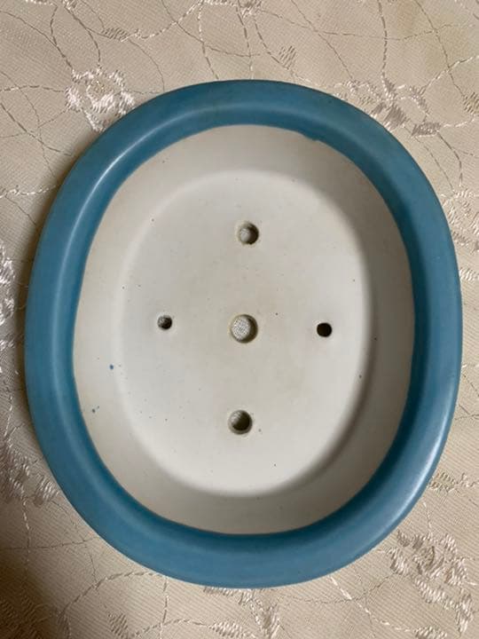 祥石　楕円　浅め　盆栽鉢