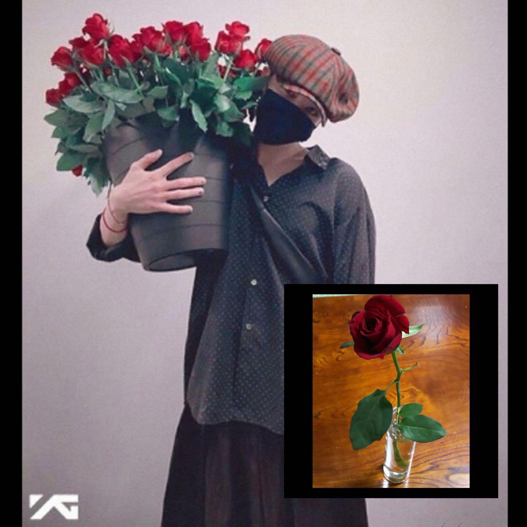 BIGBANG G-DRAGON オフィシャル出待ち　プレゼントのバラ