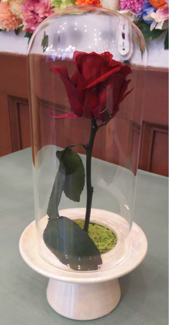 BIGBANG G-DRAGON オフィシャル出待ち　プレゼントのバラ