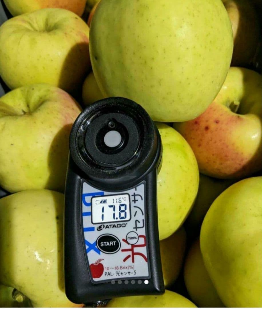 お得10k　ぐんま名月　じぃじの美味しい林檎