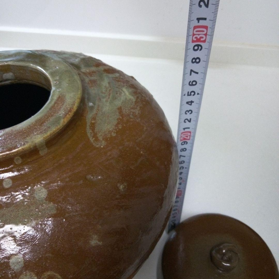 蛇口付きかめ　泡盛、焼酎