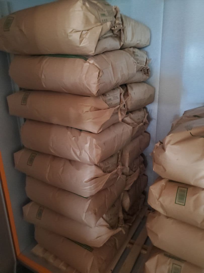 【令和7年新米】兵庫県淡路島産キヌヒカリ精米後15キロ(低農薬白米)農家直送