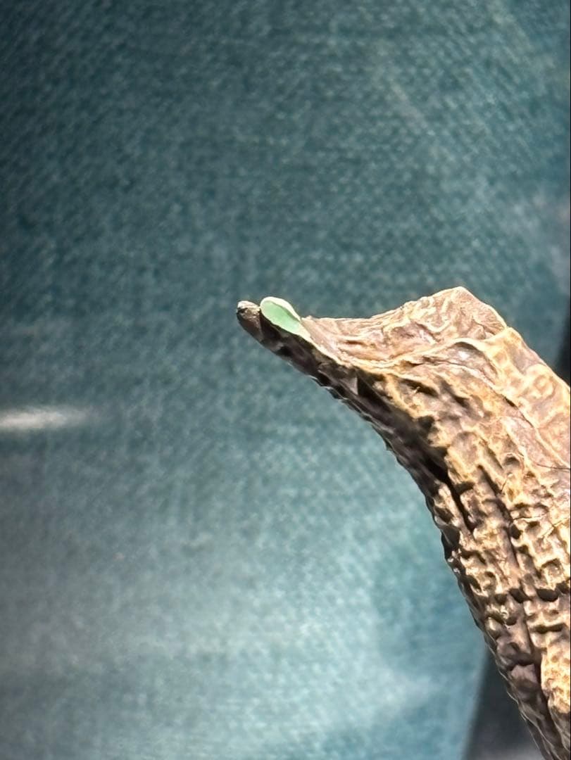 Kogusu フィギュアビルダークリエーターズモデル 迅龍 ナルガクルガ