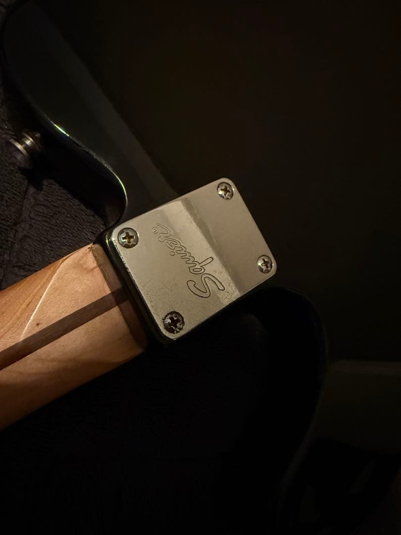 SUM41 Deryck Whibleyモデル Squire by Fender