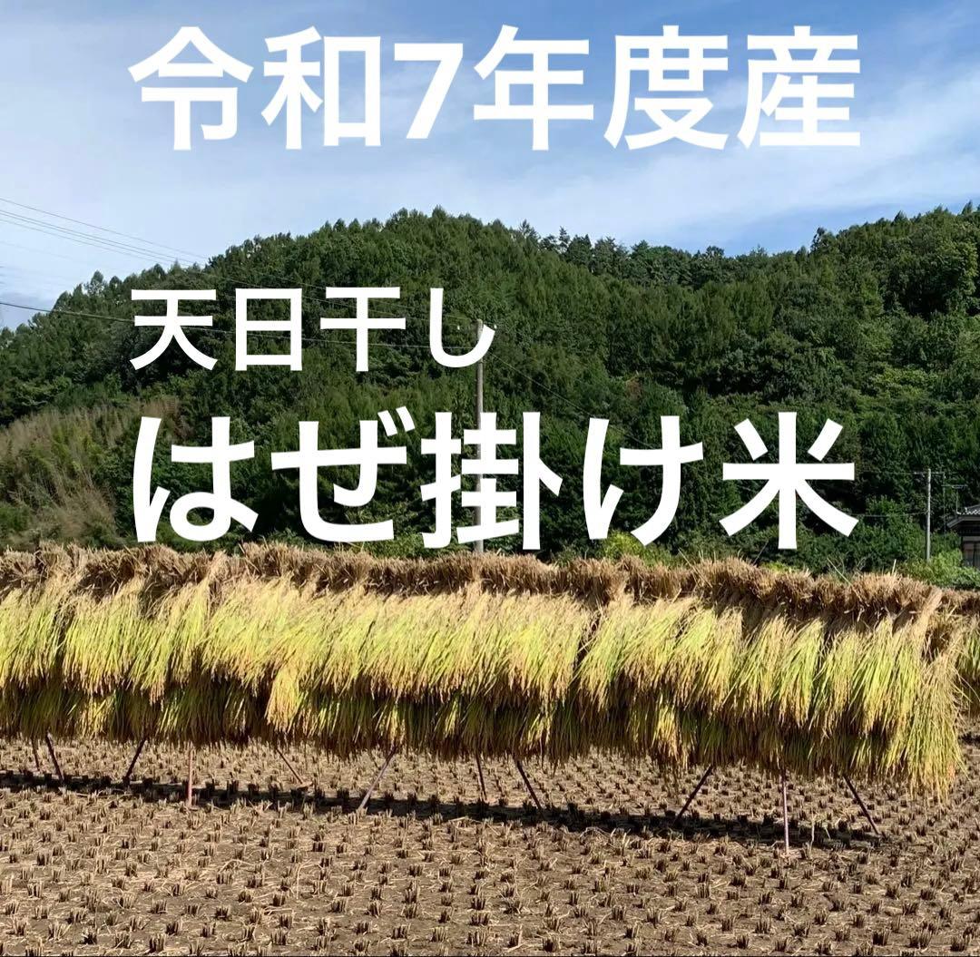 天日干しはぜ掛け米 籾保存　白米10kg 長野県産　令和7年度 コシヒカリ