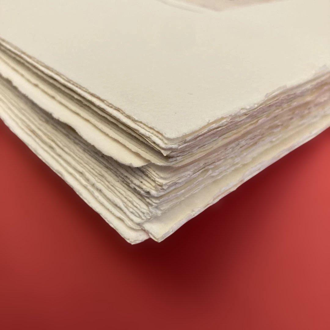 アヴィ　ファイラー　リトグラフ　赤い花　50枚