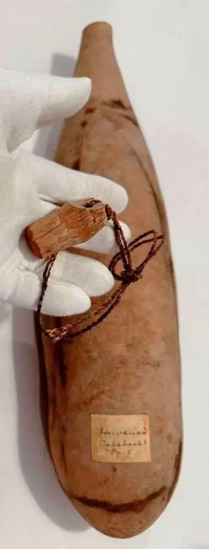 The Hawaiian Calabash antique fish hook付