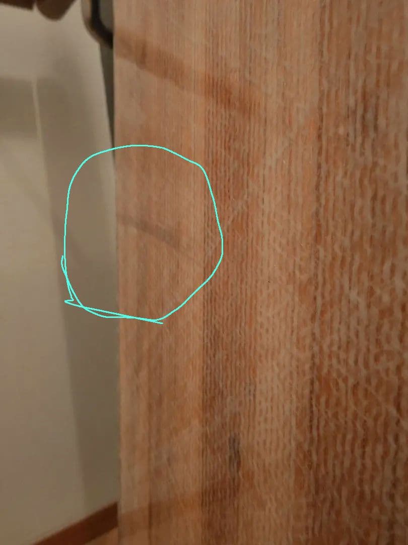 スノーボード mossstick pt52 fishbone