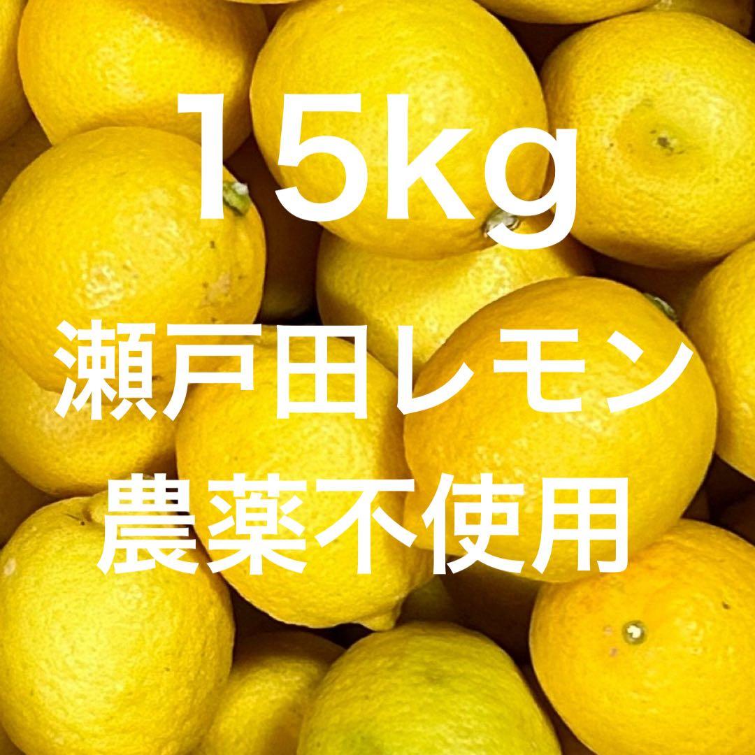 国産　瀬戸田レモン農薬不使用　　r