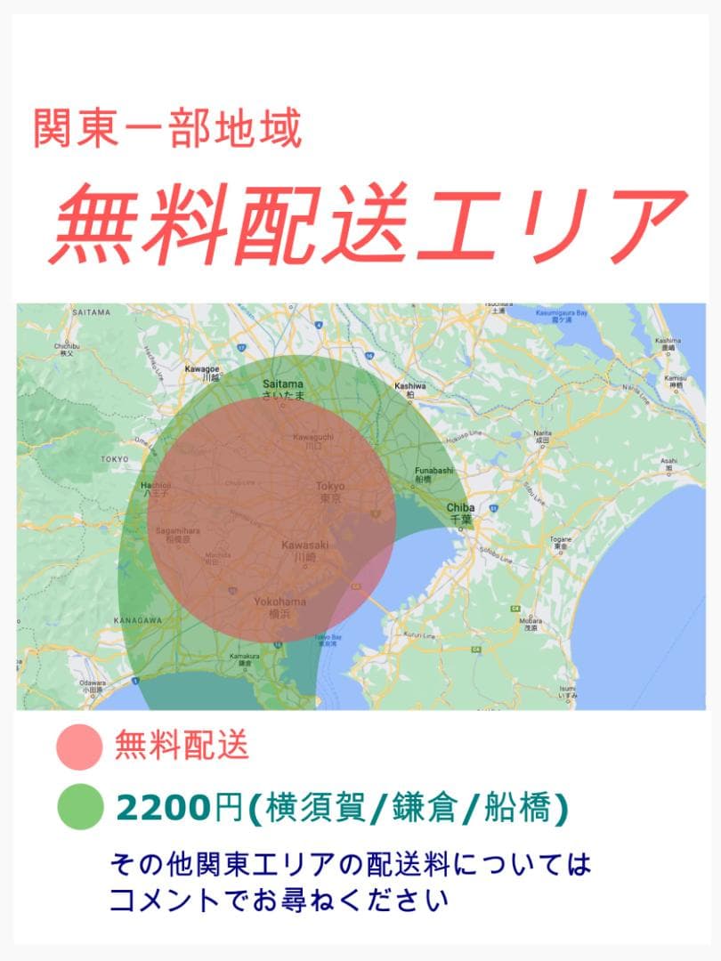 2018 マット系ブラック　ギュット　子供乗せ電動アシスト自転車 ZH2050