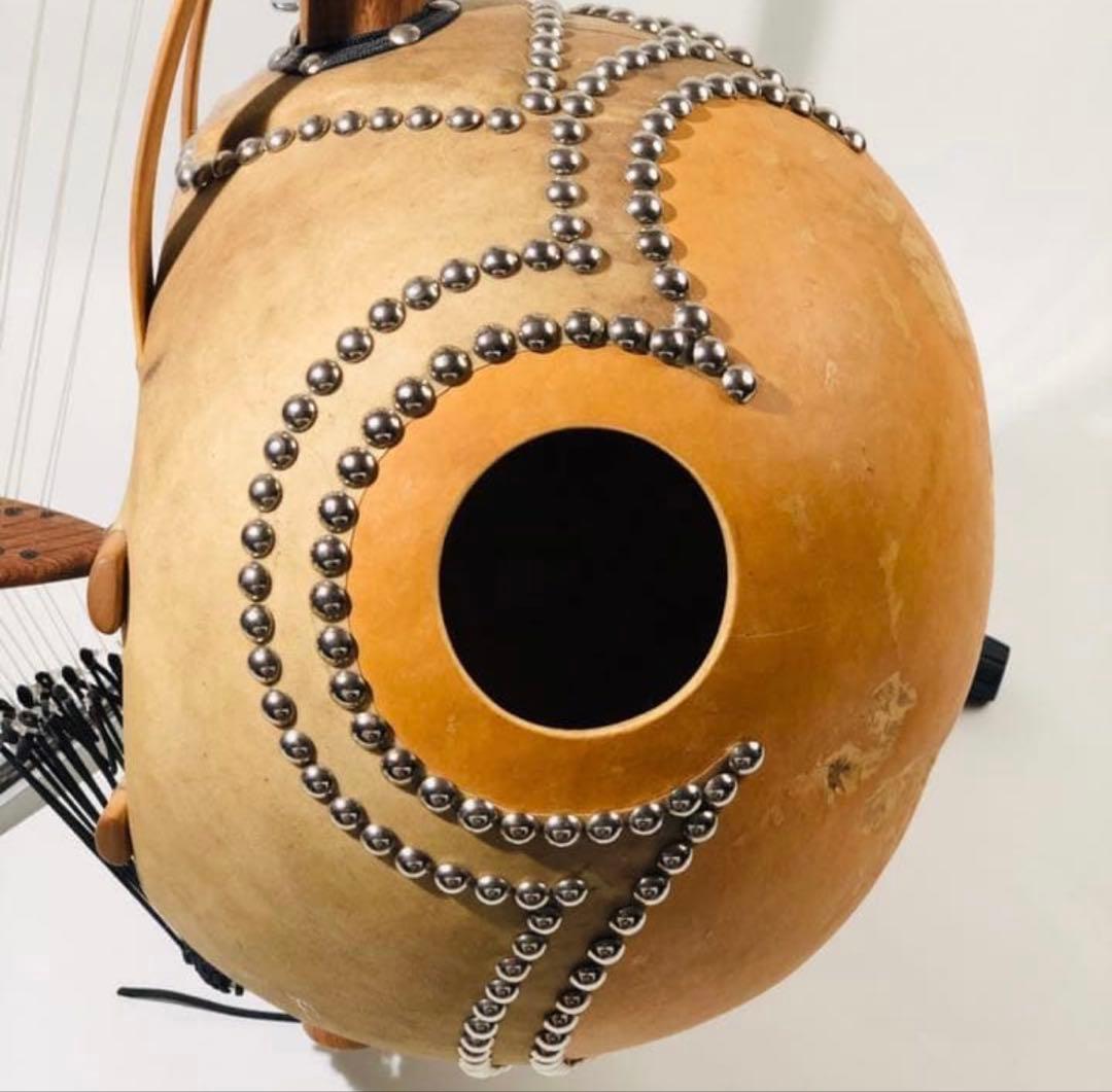 Baragnouma カマレンゴニ 12弦 ソフトケース付き ジャンベ