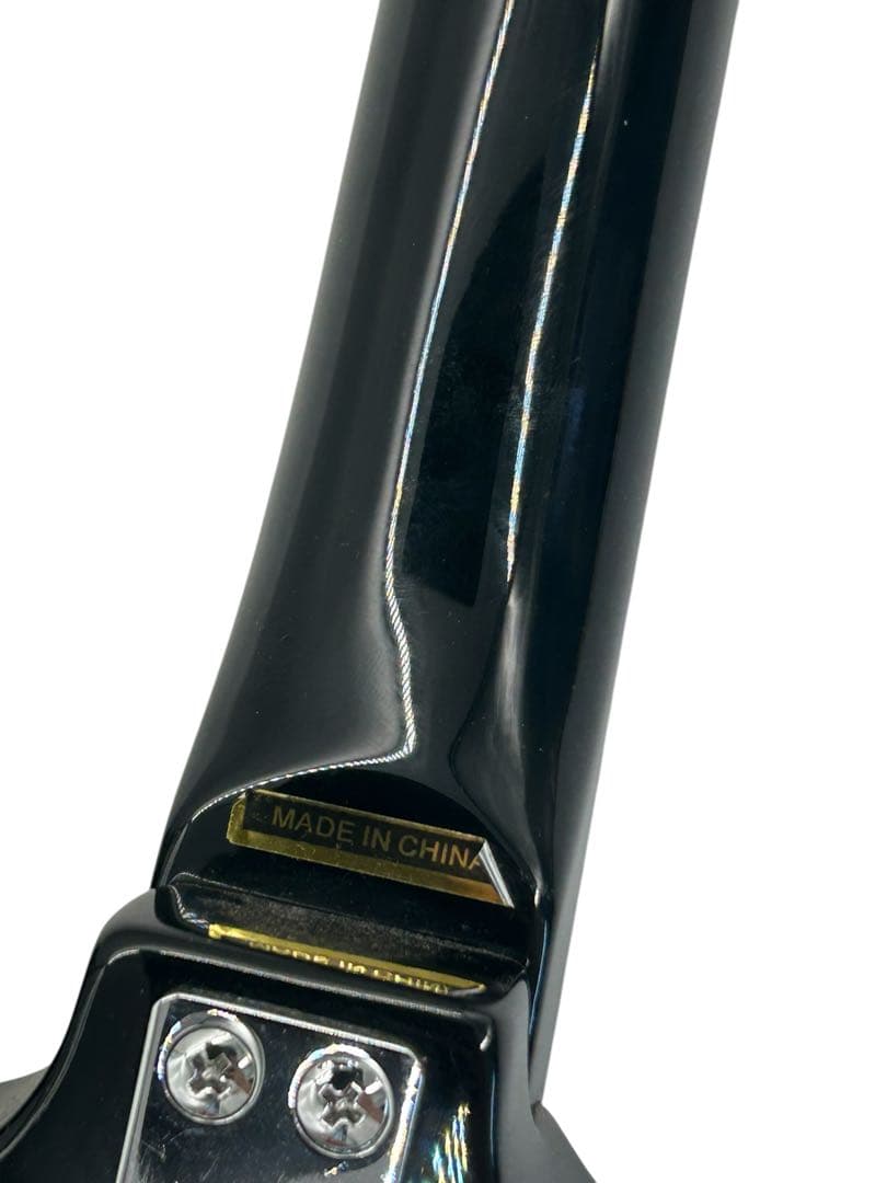 弦楽器 MANDOBIRD VIII